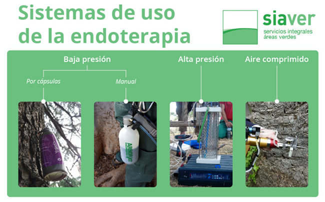 esquema con fotos de sistemas y metrodos de endoterapia