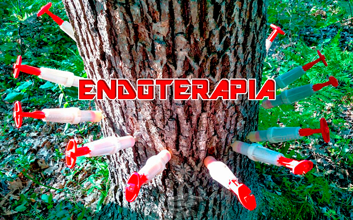 endoterapia vegetal portada