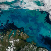 El cambio climático está cambiando el color de los océanos portada