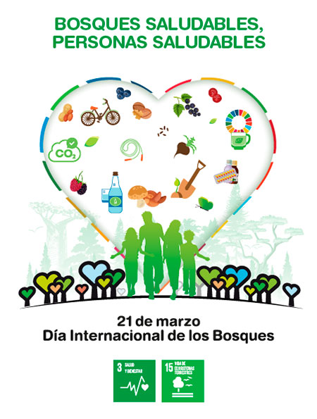 dia internacional de los bosques 2023