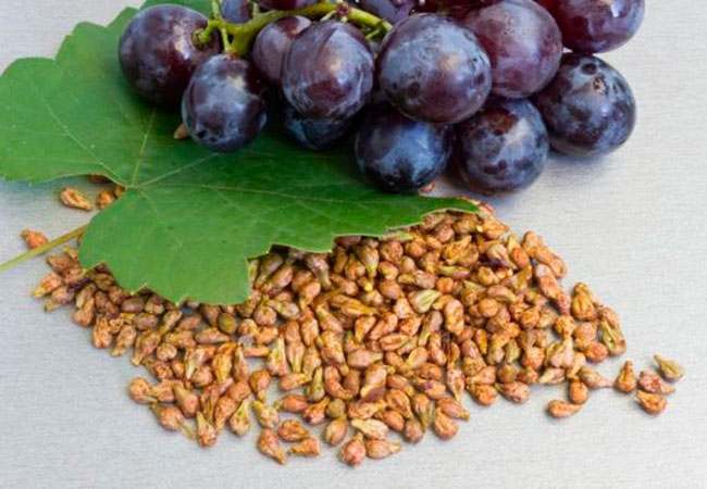 germinar semillas de uva