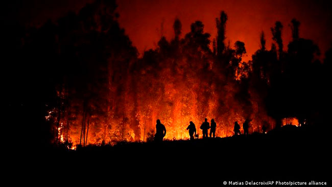 incendio forestal Chile