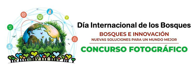 Dia Mundial de los Bosques 2024