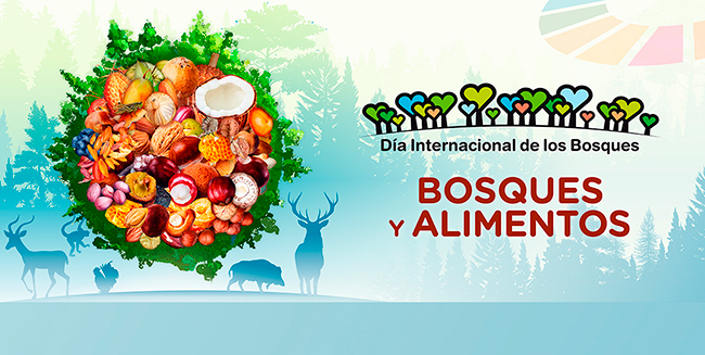 Día del los Bosques 2025