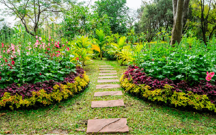 Brezo de ocultación para ganar privacidad en tu jardín de forma natural