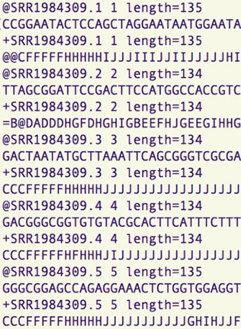 archivo FASTA genoma 
