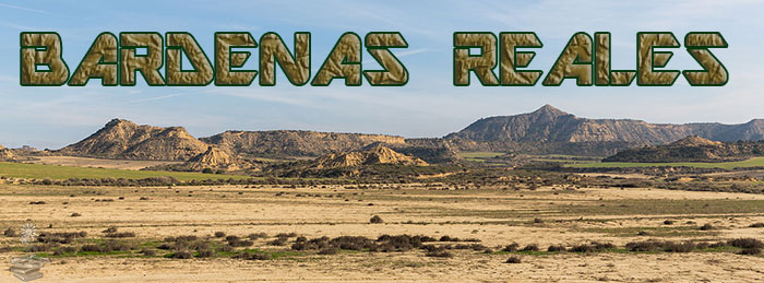 Bardenas Reales portada