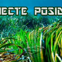 Projecte Posidonia portada