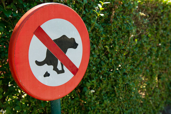 prohibicion heces de perro en naturaleza