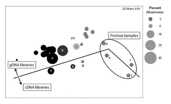matriz de distancia Bray-Curtis promediada respuesta bacterias a contaminacion petroleo