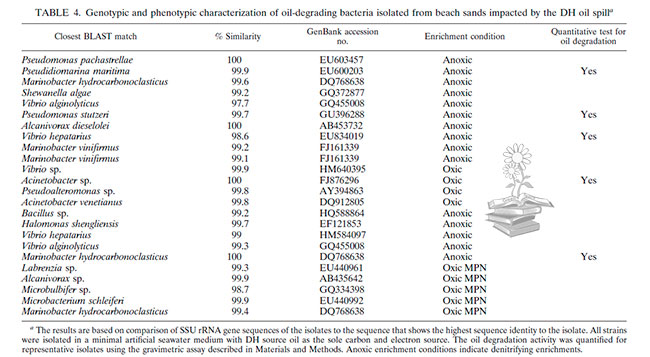 tabla genotipos y fenotipos de bacterias degradadoras de hidrocarburos