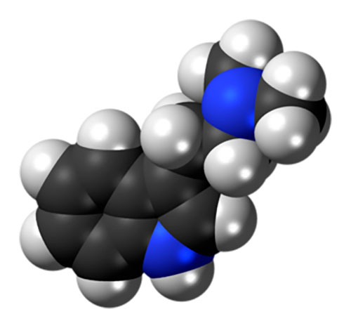 molecula N,N-dimetiltriptamina (DMT) 