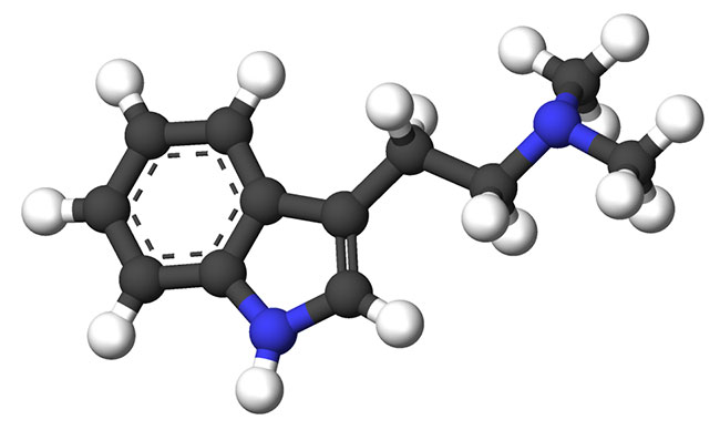 N,N-dimetiltriptamina (DMT) 