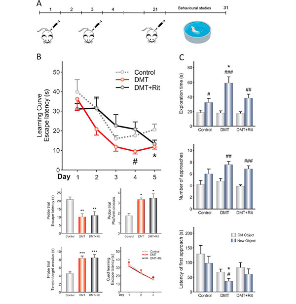 resultados pruebas de comprotamiento ratones con N,N-dimetiltriptamina (DMT) 