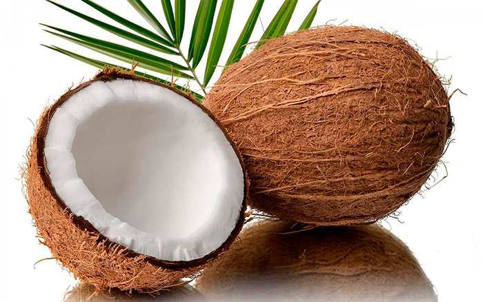 Bonote o Fibra de coco: qué es, propiedades y usos o aplicaciones