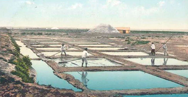 trabajo salinero tradicional en las salinas Bahía de Cádiz