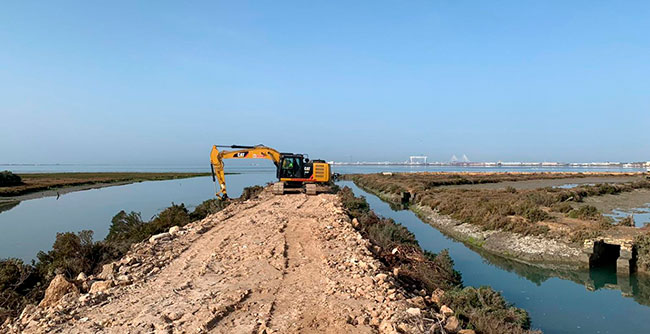 restauracion de salinas del Parque Natural de la Bahia de Cadiz