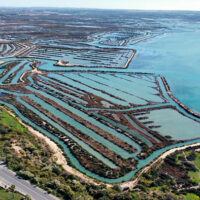 plano salinas del Parque Natural de la Bahia de Cadiz