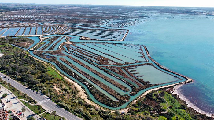 plano salinas del Parque Natural de la Bahia de Cadiz