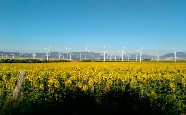 energia renovable eolica