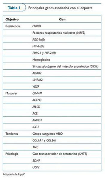 tabla genes rendimiento deportivo