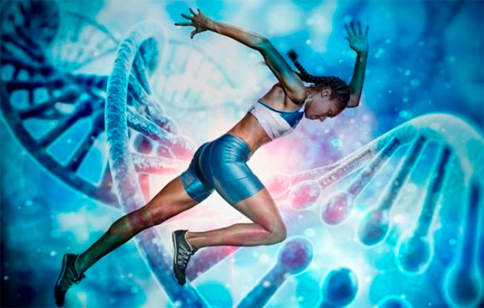 La genética deportiva: Cómo influyen tus genes en tu rendimiento y entrenamiento