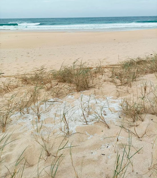 bolitas de plastico contaminando playa de Galicia