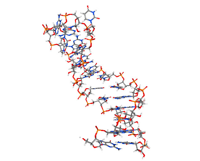 Qué significa miARN, microARN o microRNA