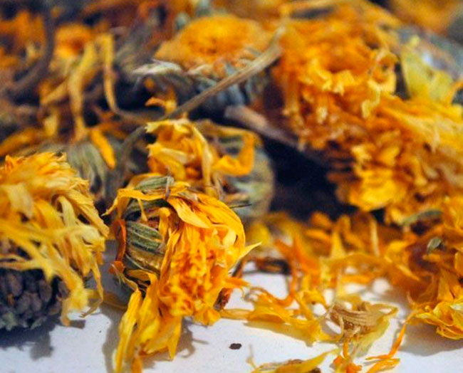 flores de calendula para infusion