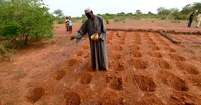 Yacouba Sawadogo ‘el hombre que detuvo el desierto’ 