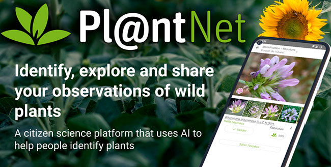 PlantNet reconocer plantas