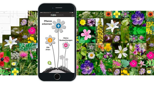 app Flora Incognita