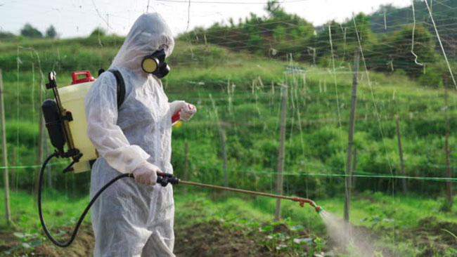 control de plagas en agricultura