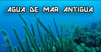 agua de mar antigua portada