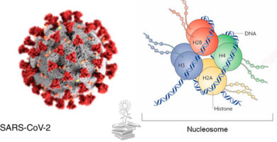 SARS-CoV-2 altera la regulacion epigenetica portada
