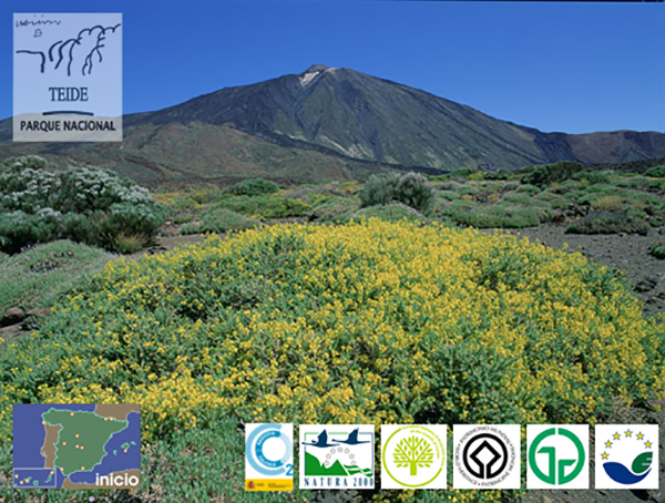 Parque Nacional del Teide, Canarias, España