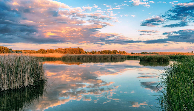 tablas de Daimiel, Parque Nacional de España