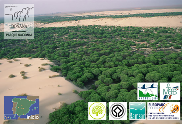 Parque Nacional de Doñana
