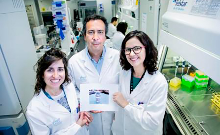fármaco MSC-1 portada