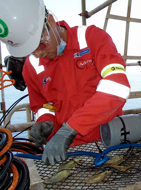 instalación de MolluSCAN-eye