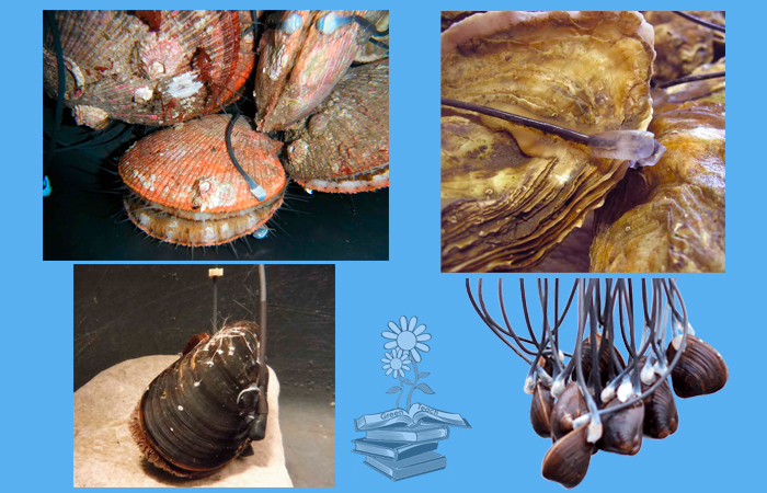 MolluSCAN portada