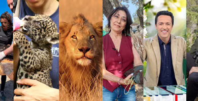 XIX Premios a la Conservación de la Biodiversidad de la Fundación BBVA, portada