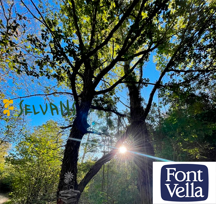campaña el bosque es agua portada