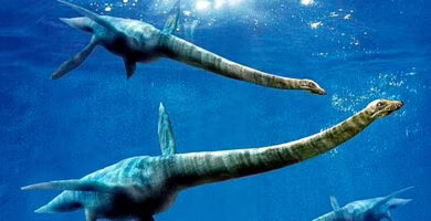 recreacion de elasmosauros en el mar, fósil de elasmosaurio Antártida portada
