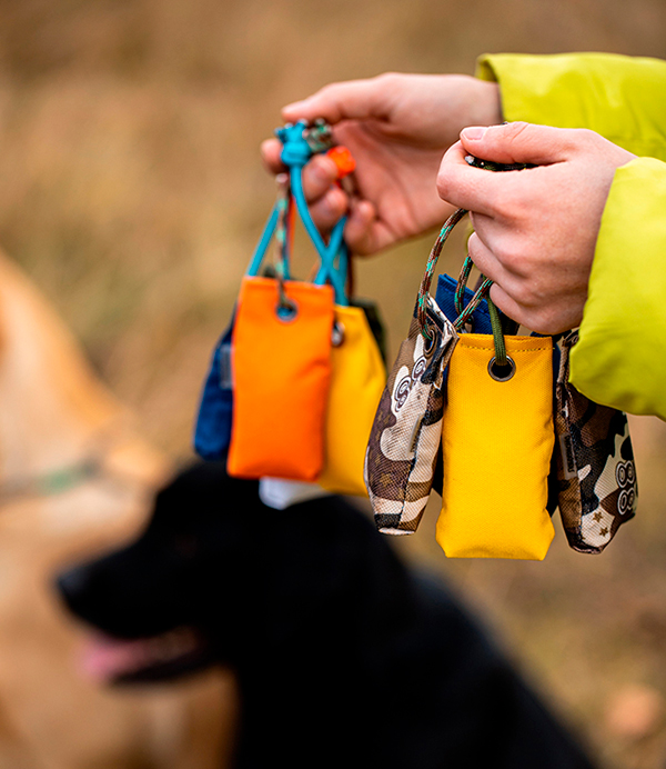 juguetes accesorios para perros