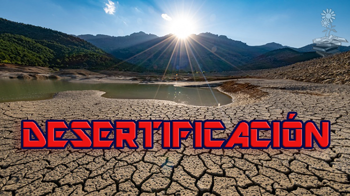 desertificación portada