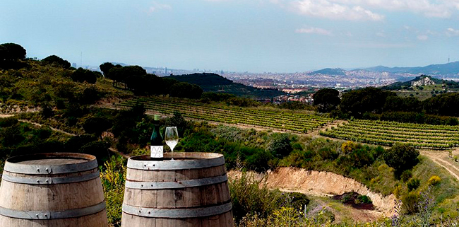 bodega Alta Alella, premio a la Mejor Iniciativa Joven de Producción Sostenible BBVA