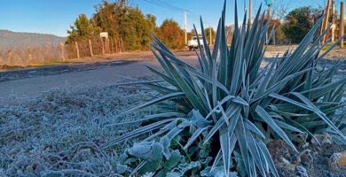 ola de frio extremo de Chile y Argentina, portada