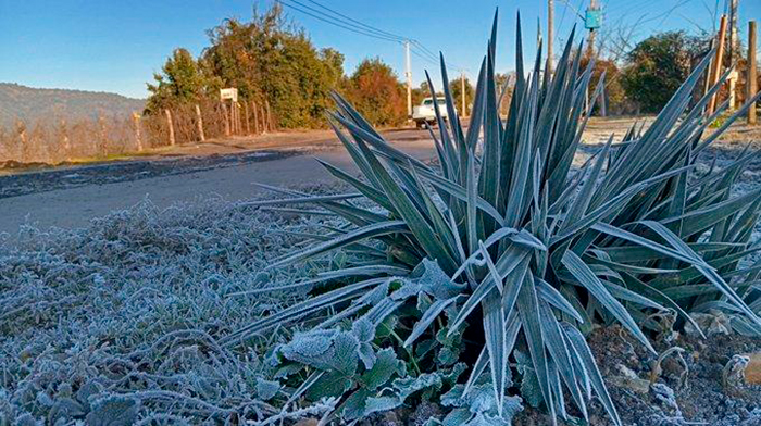 ola de frio extremo de Chile y Argentina, portada