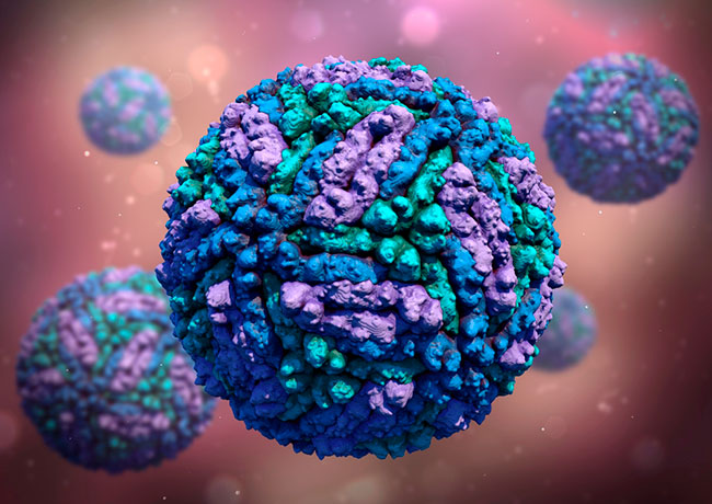 virus del dengue